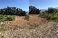 Terreno 1600 mq