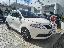 LANCIA Ypsilon 1.2 69 CV 5p. S&S Gold
