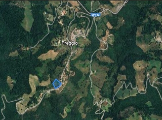 zoom immagine (Terreno 6000 mq, zona Preggio)