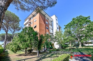 zoom immagine (Appartamento 150 mq, soggiorno, 3 camere, zona Casalotti)