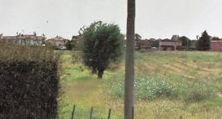 zoom immagine (Terreno 3160 mq, zona Mogliano Veneto)