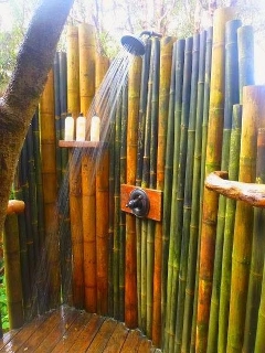 zoom immagine (Canne di bambù, bambu con diametro da 1 a 10 cm)