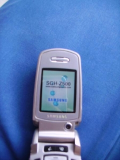 zoom immagine (Cellulare Samsung SGH Z 500)